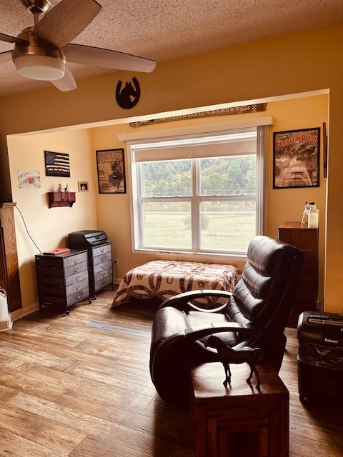 5693 Snow Creek Road Santa Fe, TN 38482 - Photo 13 of 30 a bedroom with furniture and a large window