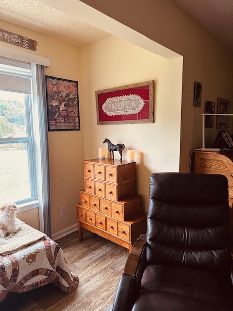5693 Snow Creek Road Santa Fe, TN 38482 - Photo 14 of 30 a bedroom with a bed and wooden floor