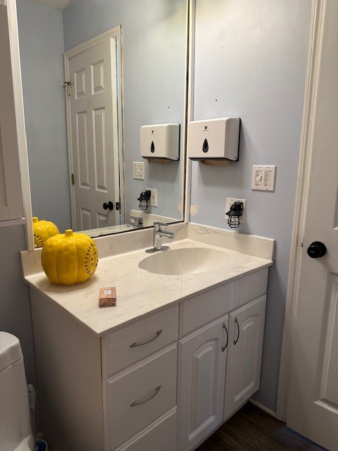 5693 Snow Creek Road Santa Fe, TN 38482 - Photo 18 of 30 a bathroom with a sink and a mirror