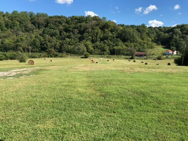 5693 Snow Creek Road Santa Fe, TN 38482 - Photo 25 of 30 a backyard of a house with lots of green space