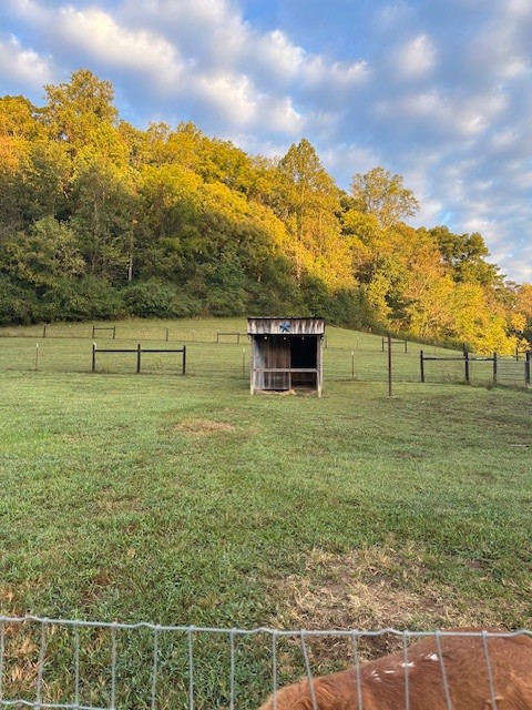 5693 Snow Creek Road Santa Fe, TN 38482 - Photo 26 of 30 a view of outdoor space with mountain view