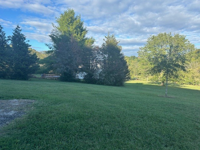 5693 Snow Creek Road Santa Fe, TN 38482 - Photo 4 of 30 a view of yard with green space