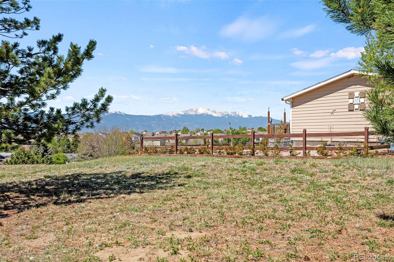 7641 Marmot Point Colorado Springs, CO 80922 - Photo 30 of 36