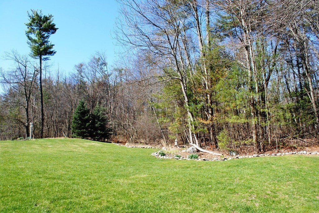61 Blanchard Road Boxborough, MA 01719 - Photo 27 of 27 a view of a park with large trees