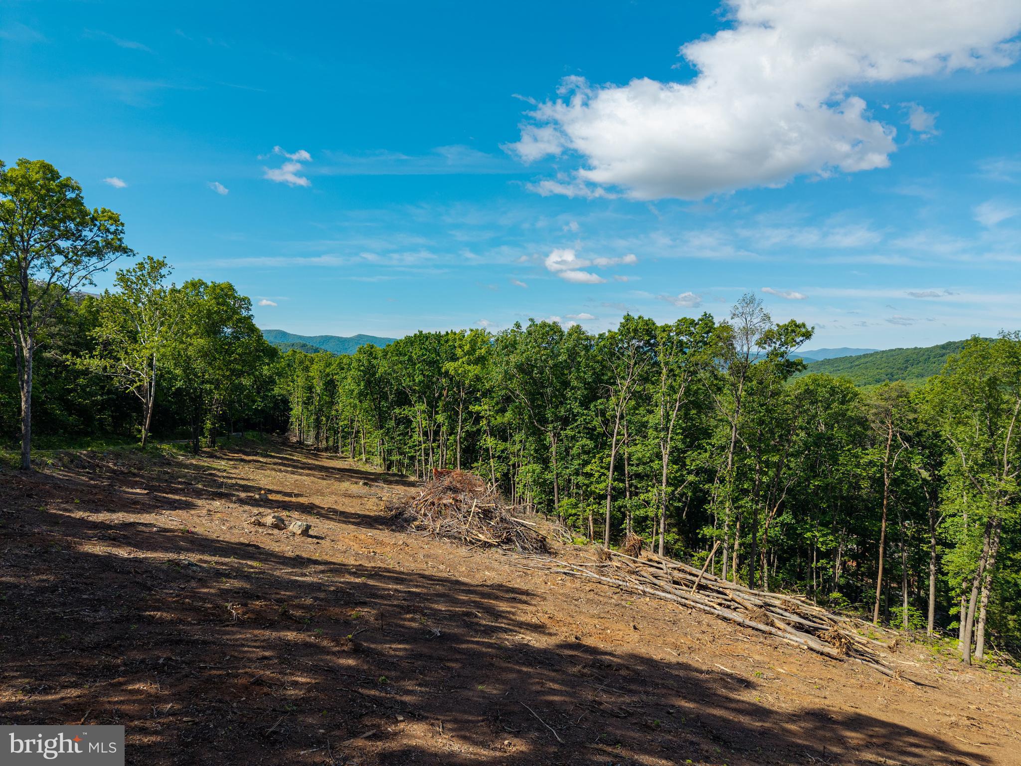 0 Cross Mountain Road Luray, VA 22835 - Photo 27 of 51