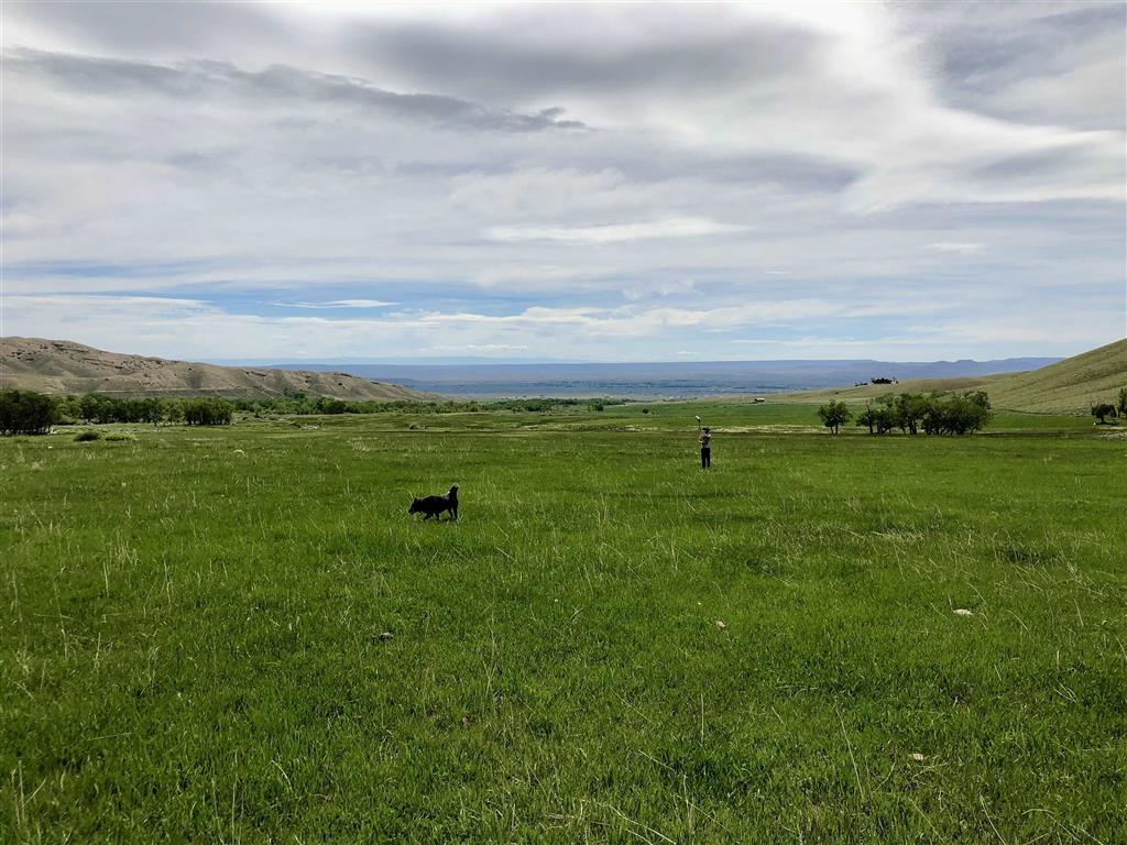 409 North Tolman Road Powell, WY 82435 - Photo 71 of 116 Gallery Image 71