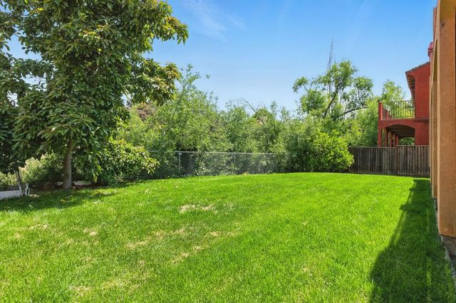 a view of a yard with a tree