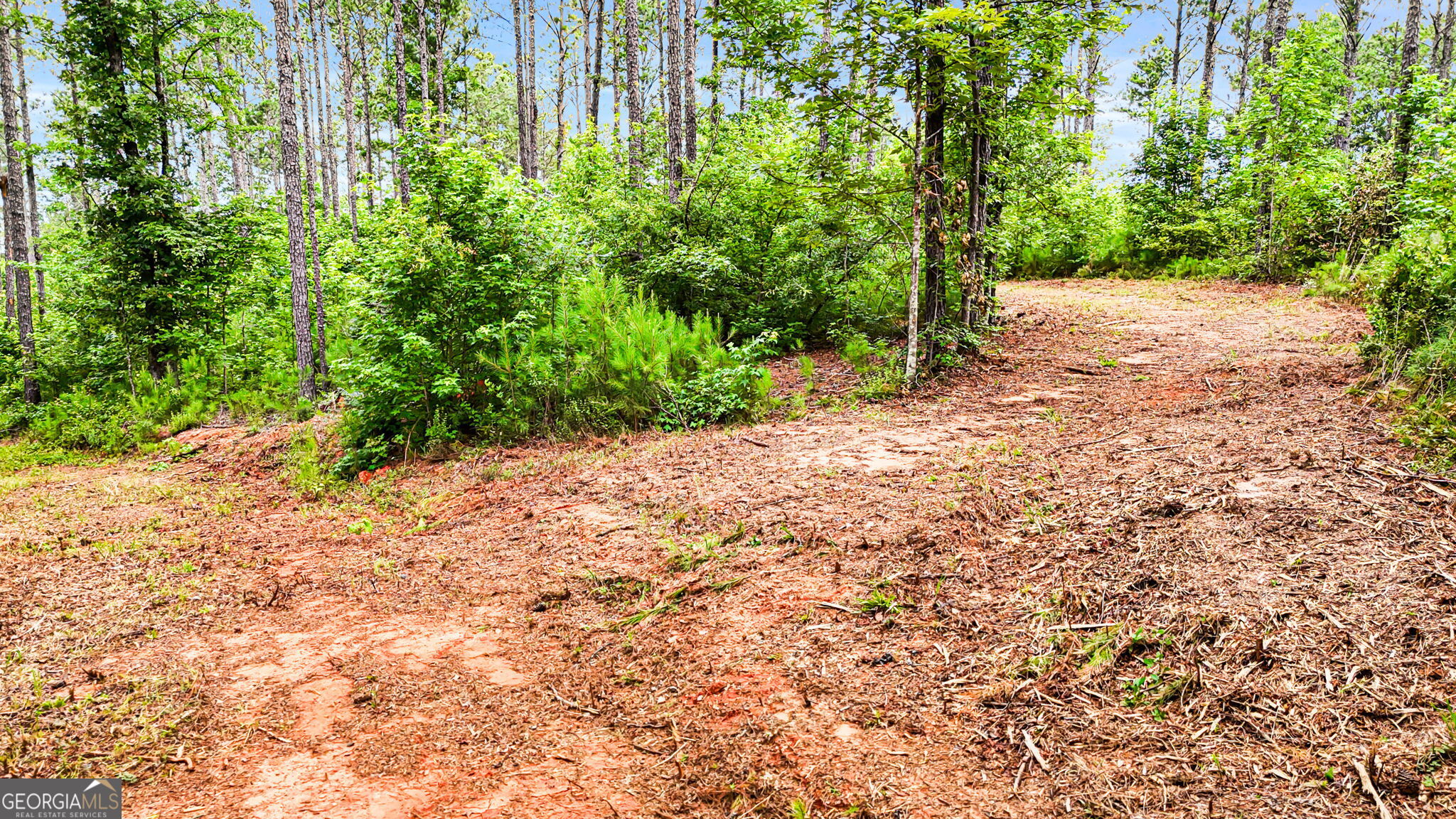 0 Howard Road Roberta, GA 31078 - Photo 13 of 14