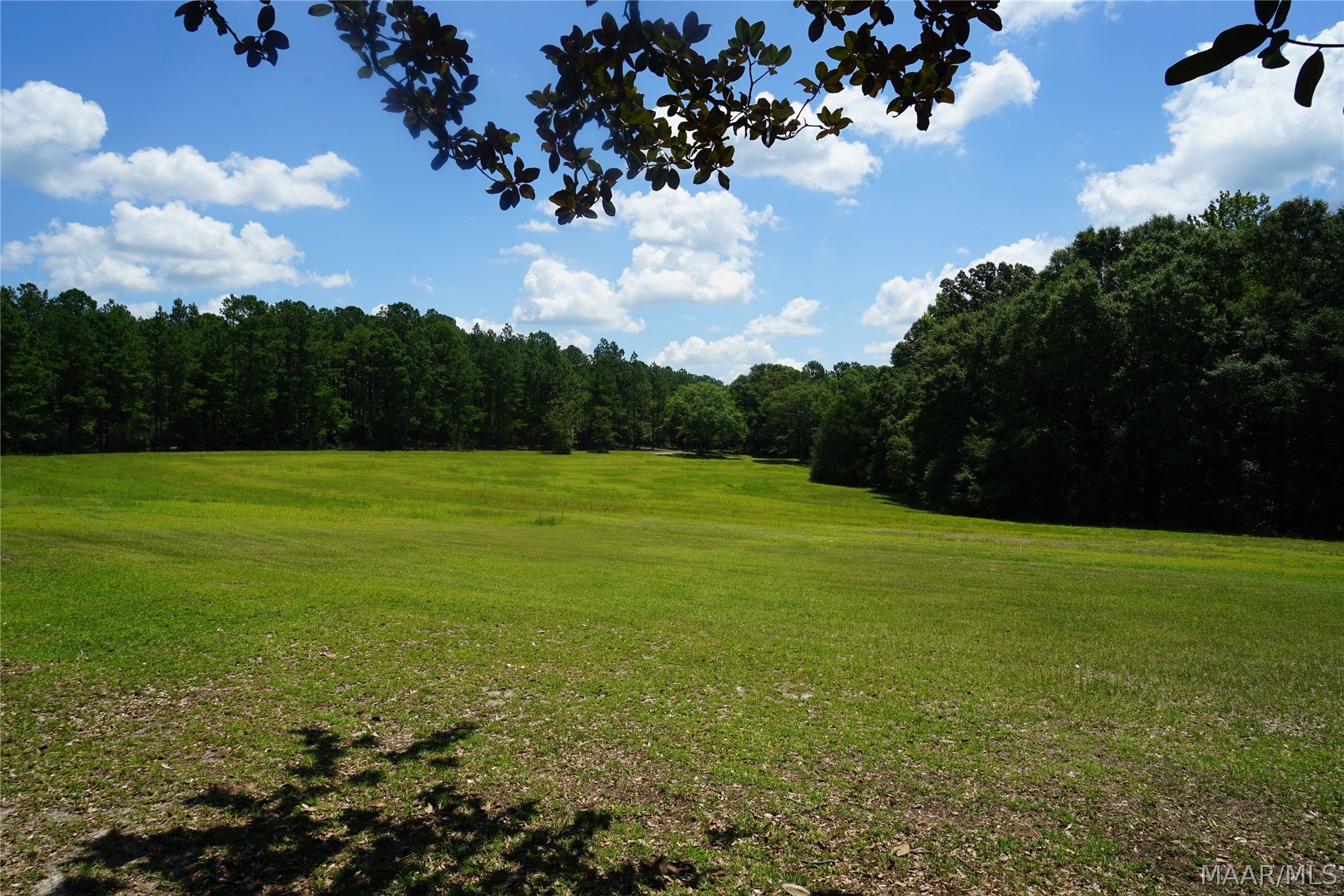 10028 Buster Aplin Road Florala, AL 36442 - Photo 26 of 47 Gallery Image 26