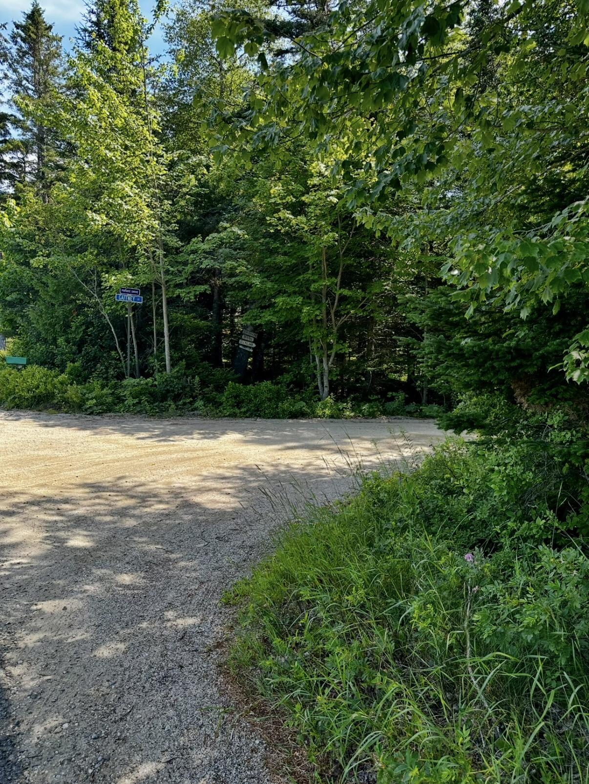 0 Flye Point, Unit LOT 3 Brooklin, ME 04616 - Photo 6 of 7