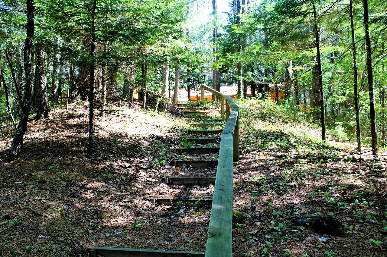6639 West Plantation Road Mercer, WI 54547 - Photo 31 of 54 Gallery Image 31