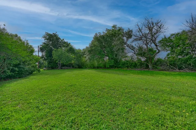 a view of a garden with a tree