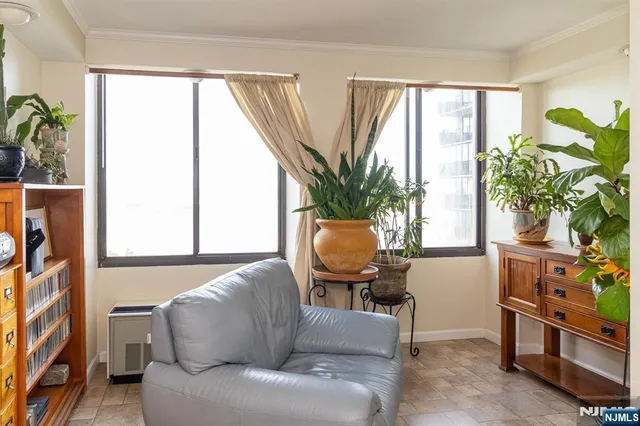 a living room with furniture and a potted plant