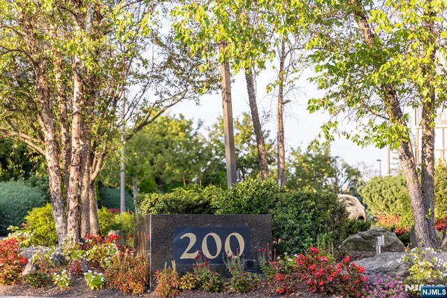 a view of tree and sign