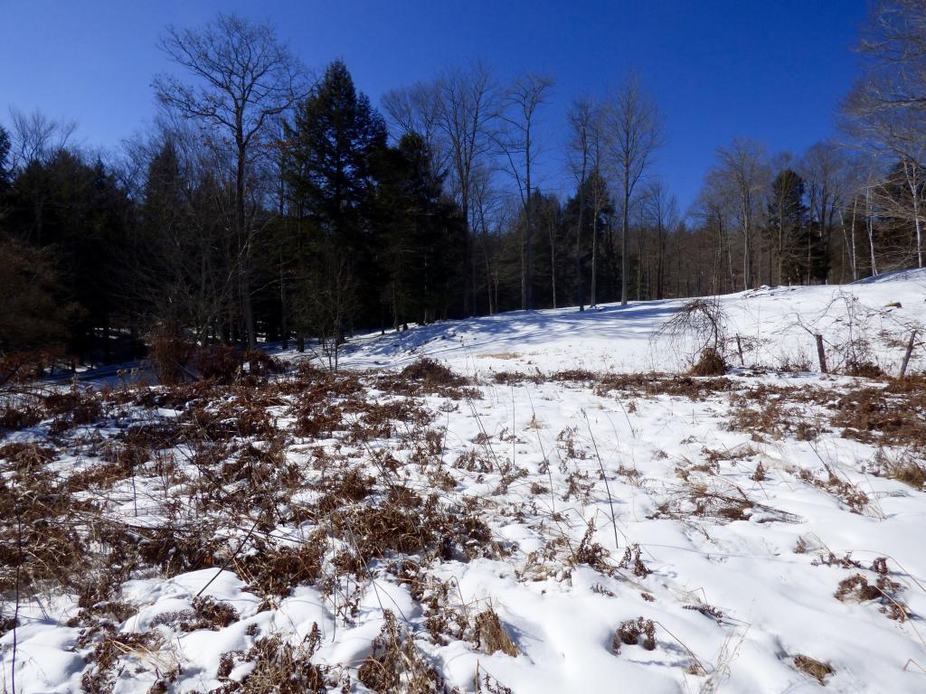 101 Brigham Hill Road Norwich, VT 05055 - Photo 18 of 20