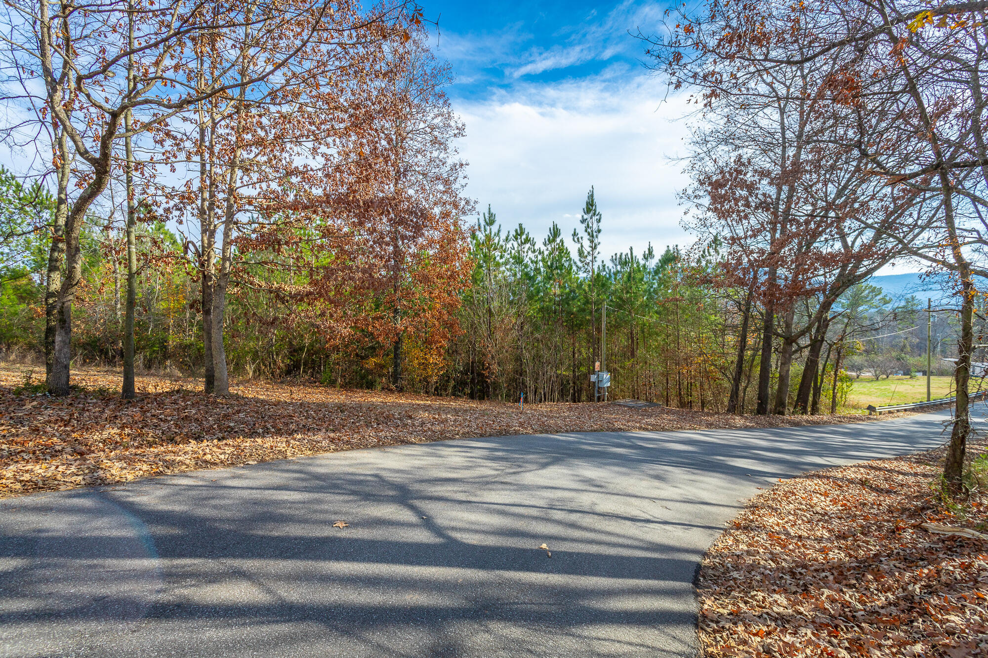 220 Albet Pilgrim Road Jasper, TN 37347 - Photo 9 of 16 220 Albert Pilgram Road HD-1