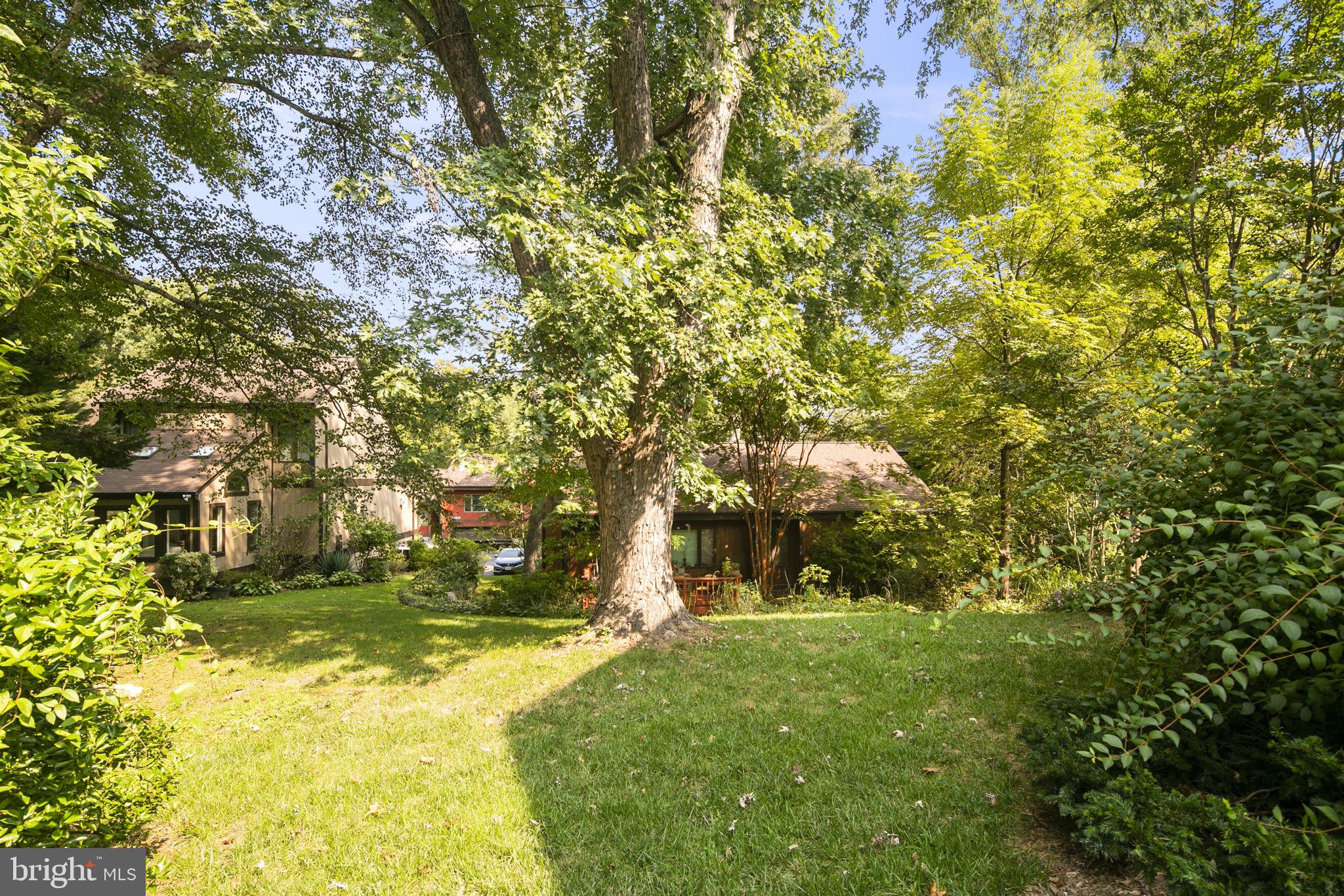 8716 Center Road Springfield, VA 22152 - Photo 50 of 53