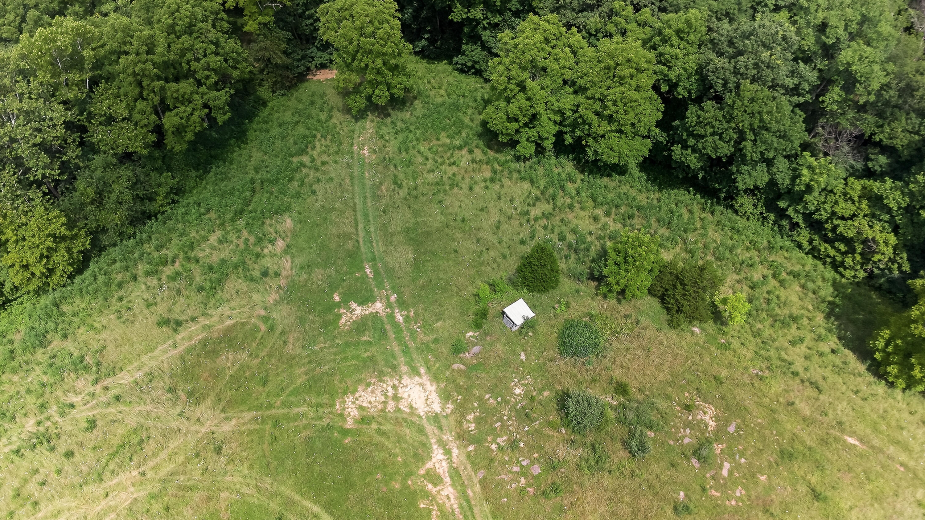 295 Fairview Road Williamstown, KY 41097 - Photo 42 of 46