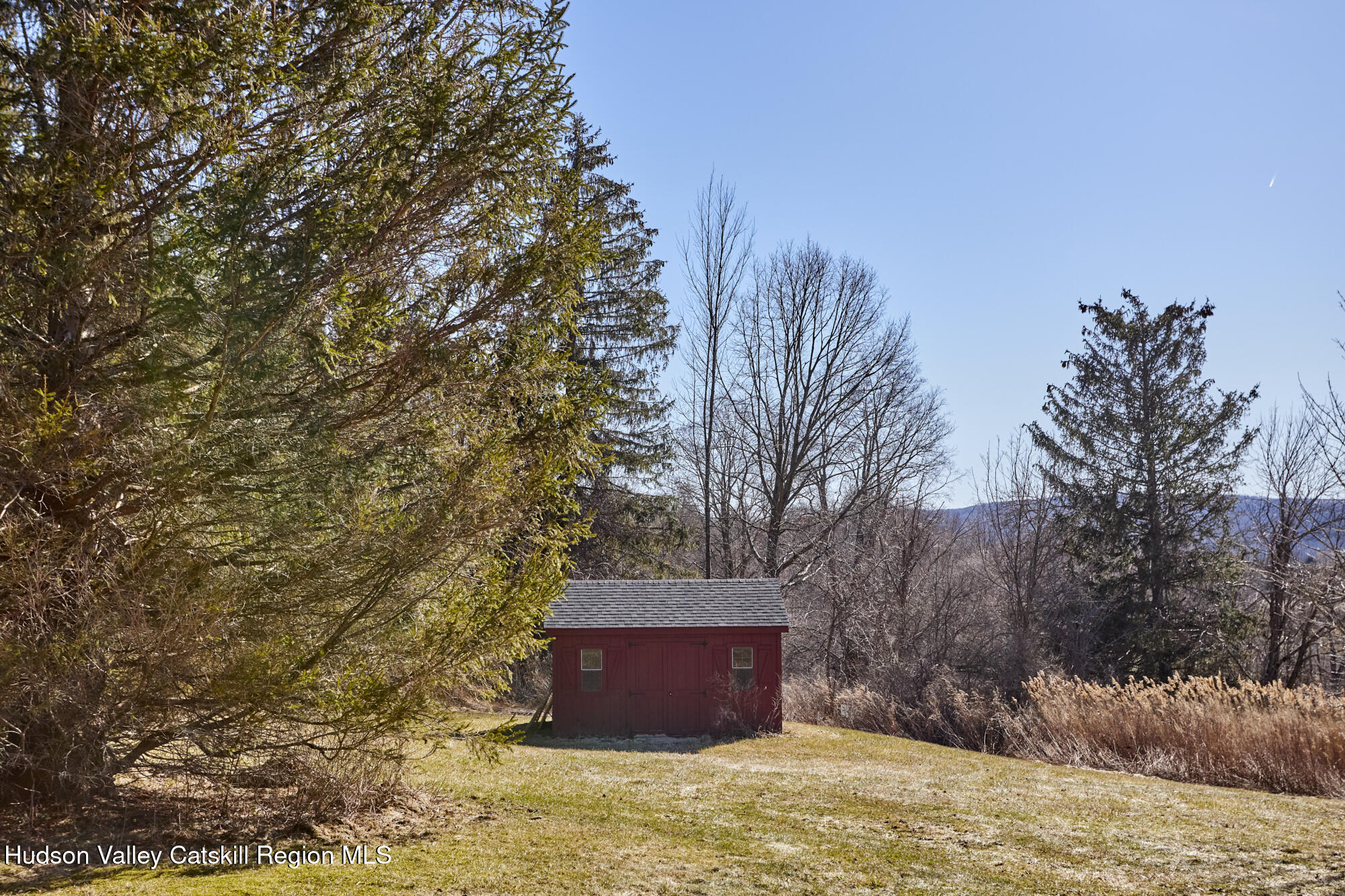 87 Kaye Road Millerton, NY 12546 - Photo 43 of 46 a view of a yard with a tree