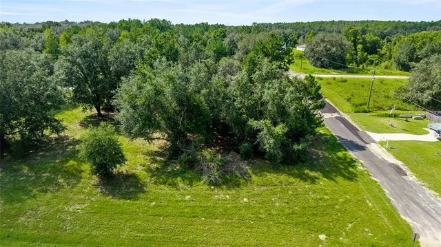 a view of a garden with a building in the background