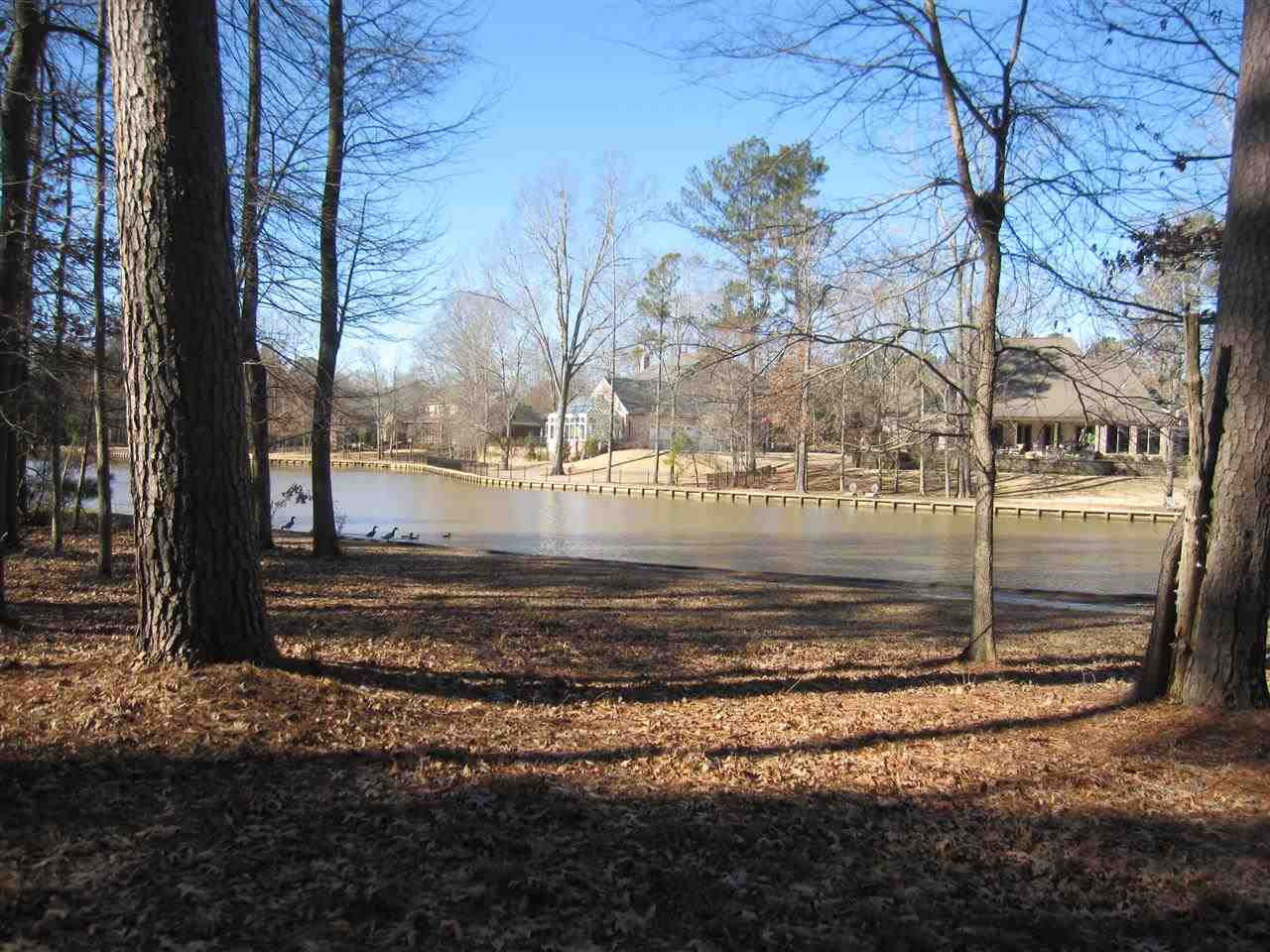 111 Oakhurst Trail, Unit 182 Ridgeland, MS 39157 - Photo 4 of 9 Photo 4