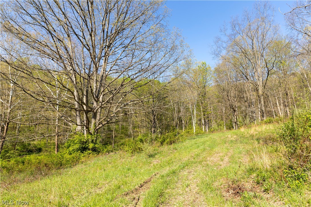 80960 Burkhart Road Tippecanoe, OH 44699 - Photo 47 of 50