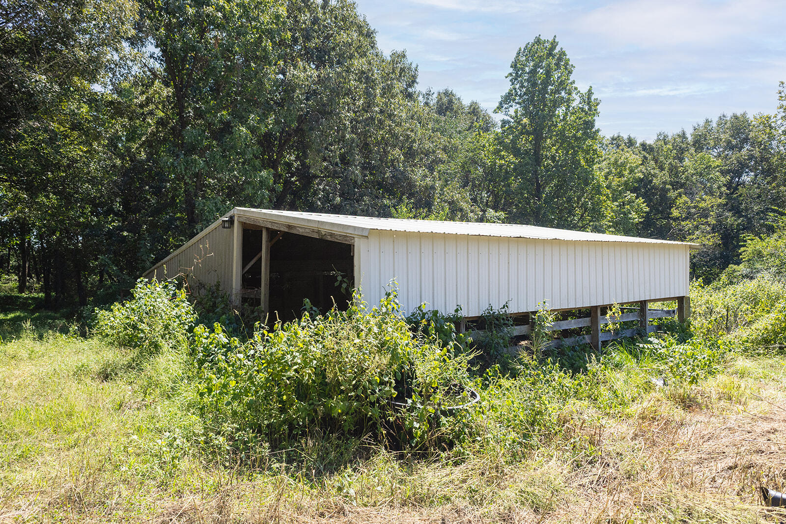 3100 Old Dukedom Road Mayfield, KY 42066 - Photo 53 of 53 4U4A0434-Edit