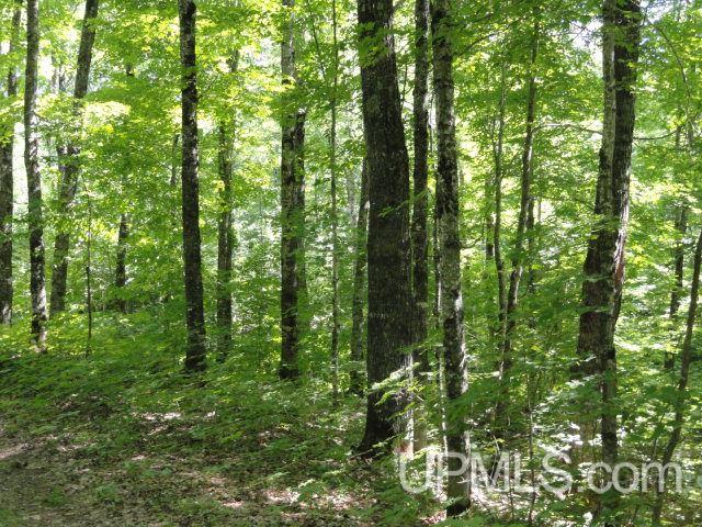 Parcel A Lake Eva Road Toivola, MI 49965 - Photo 7 of 11 Gallery Image 7