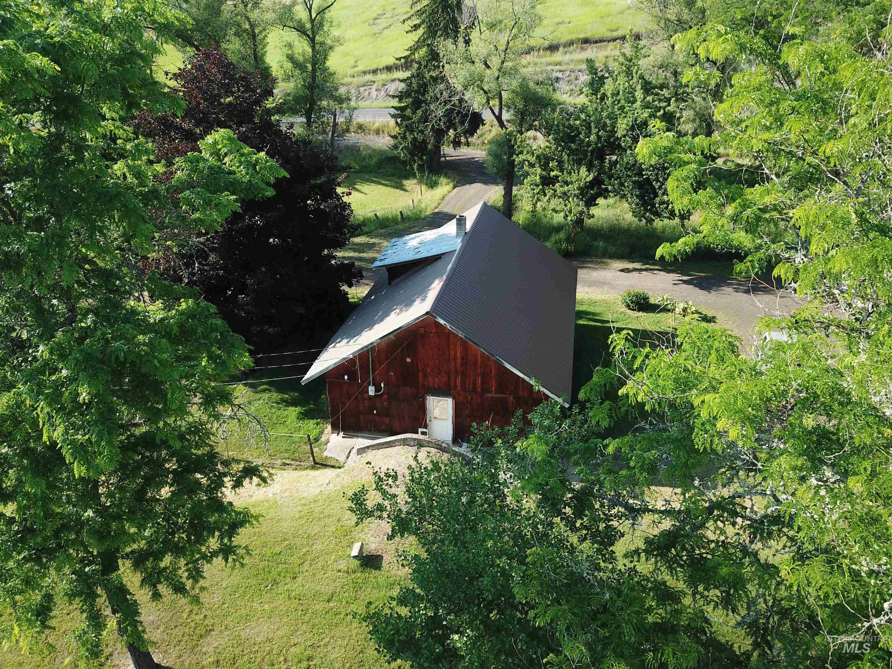 698 Leitch Creek Road Kooskia, ID 83539 - Photo 2 of 45