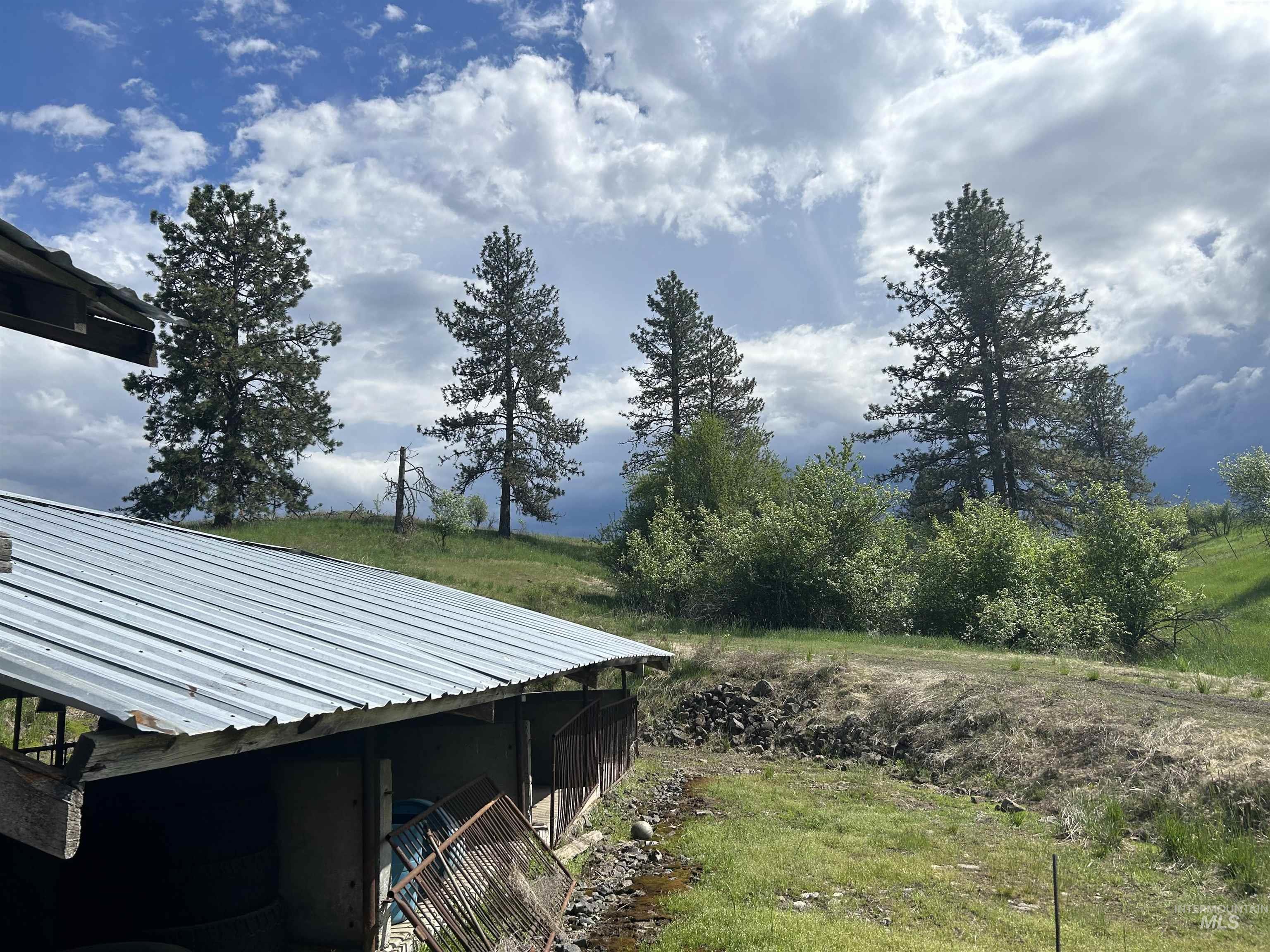 698 Leitch Creek Road Kooskia, ID 83539 - Photo 24 of 45