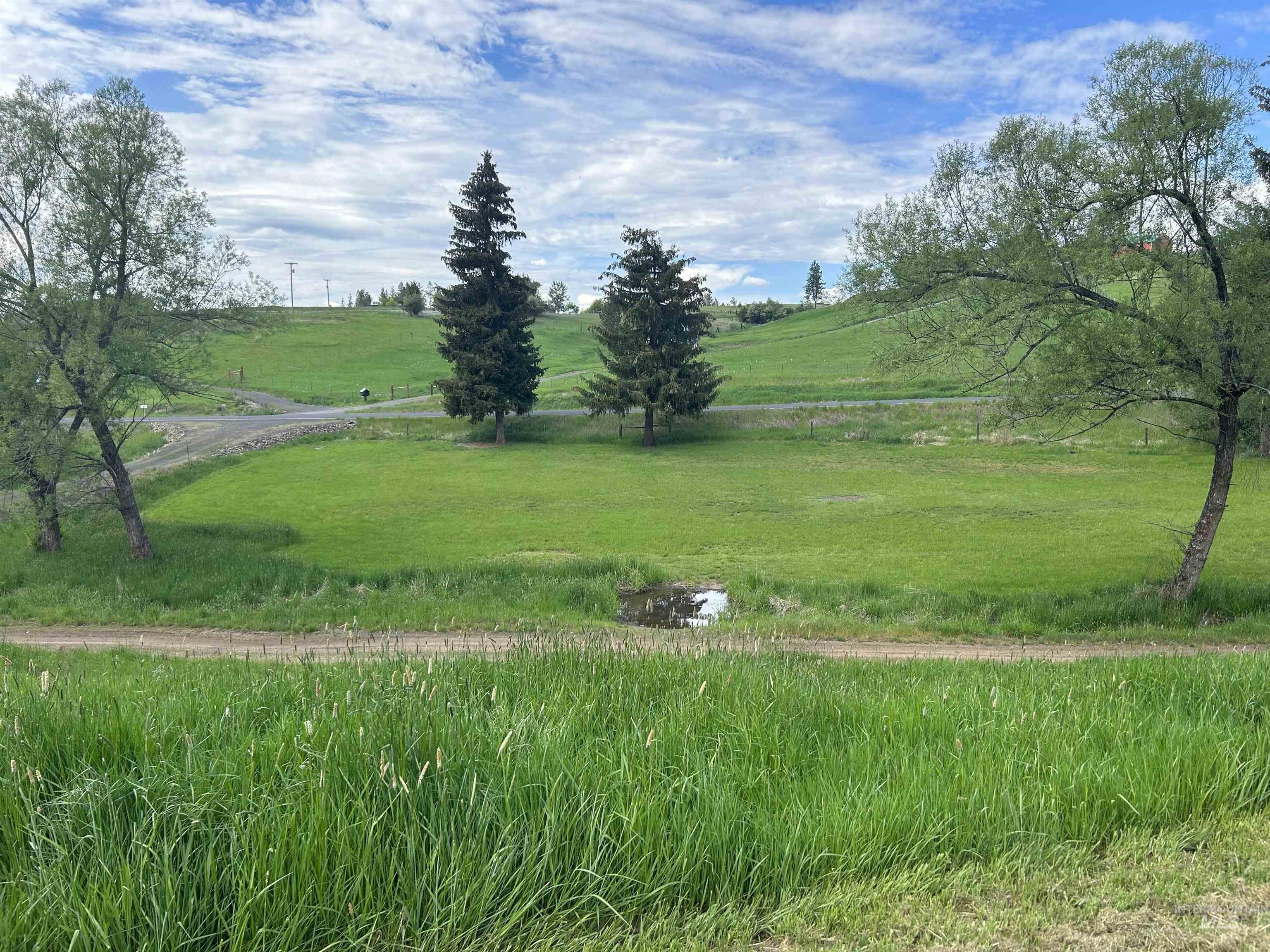 698 Leitch Creek Road Kooskia, ID 83539 - Photo 28 of 45