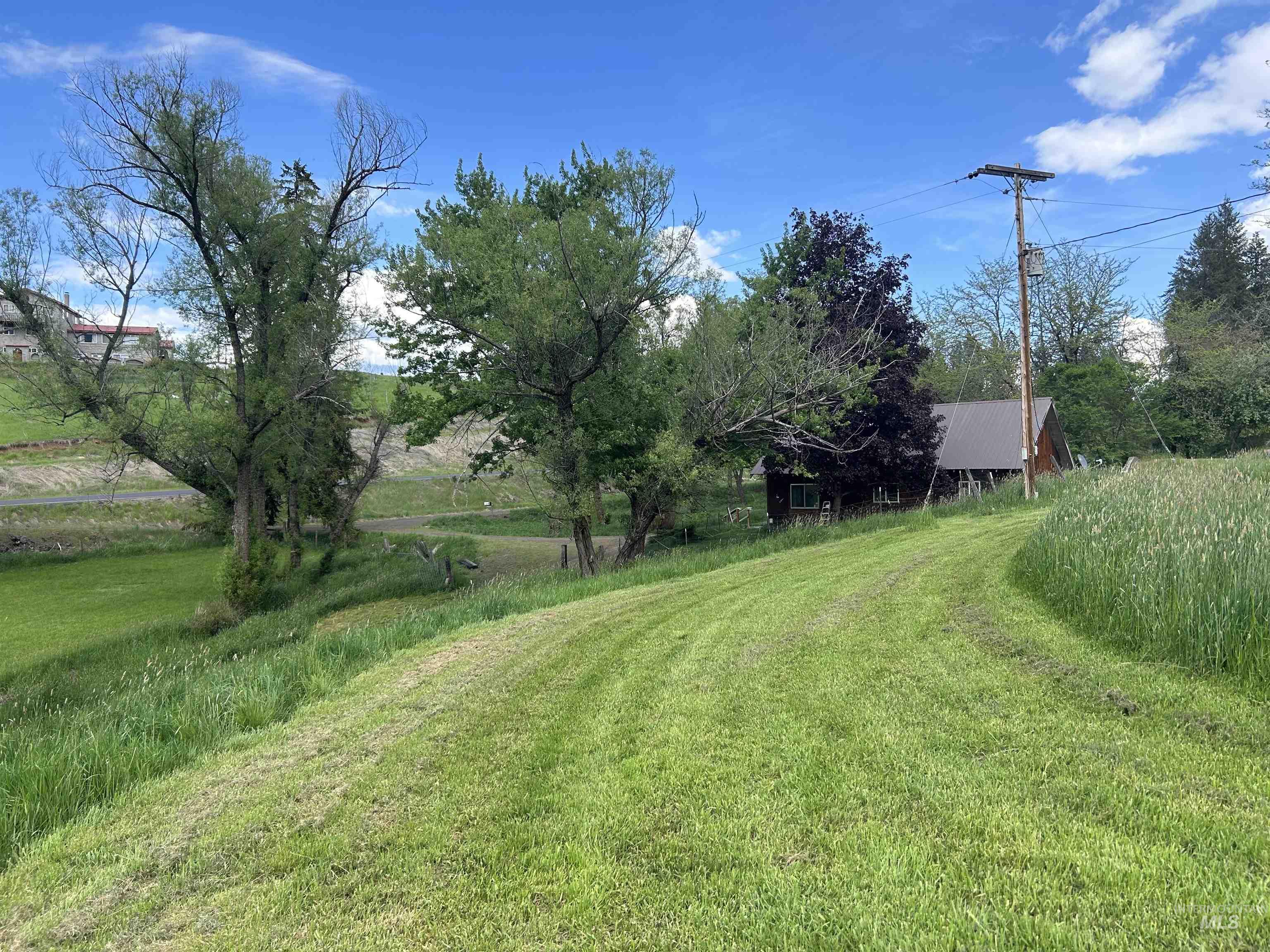 698 Leitch Creek Road Kooskia, ID 83539 - Photo 3 of 45