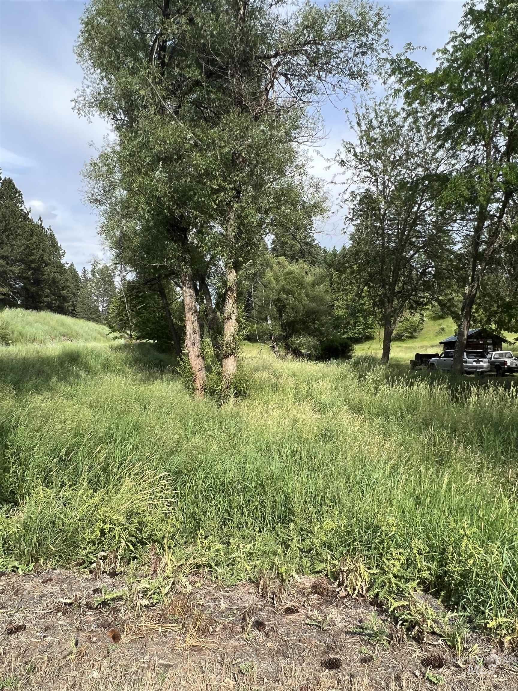 698 Leitch Creek Road Kooskia, ID 83539 - Photo 42 of 45