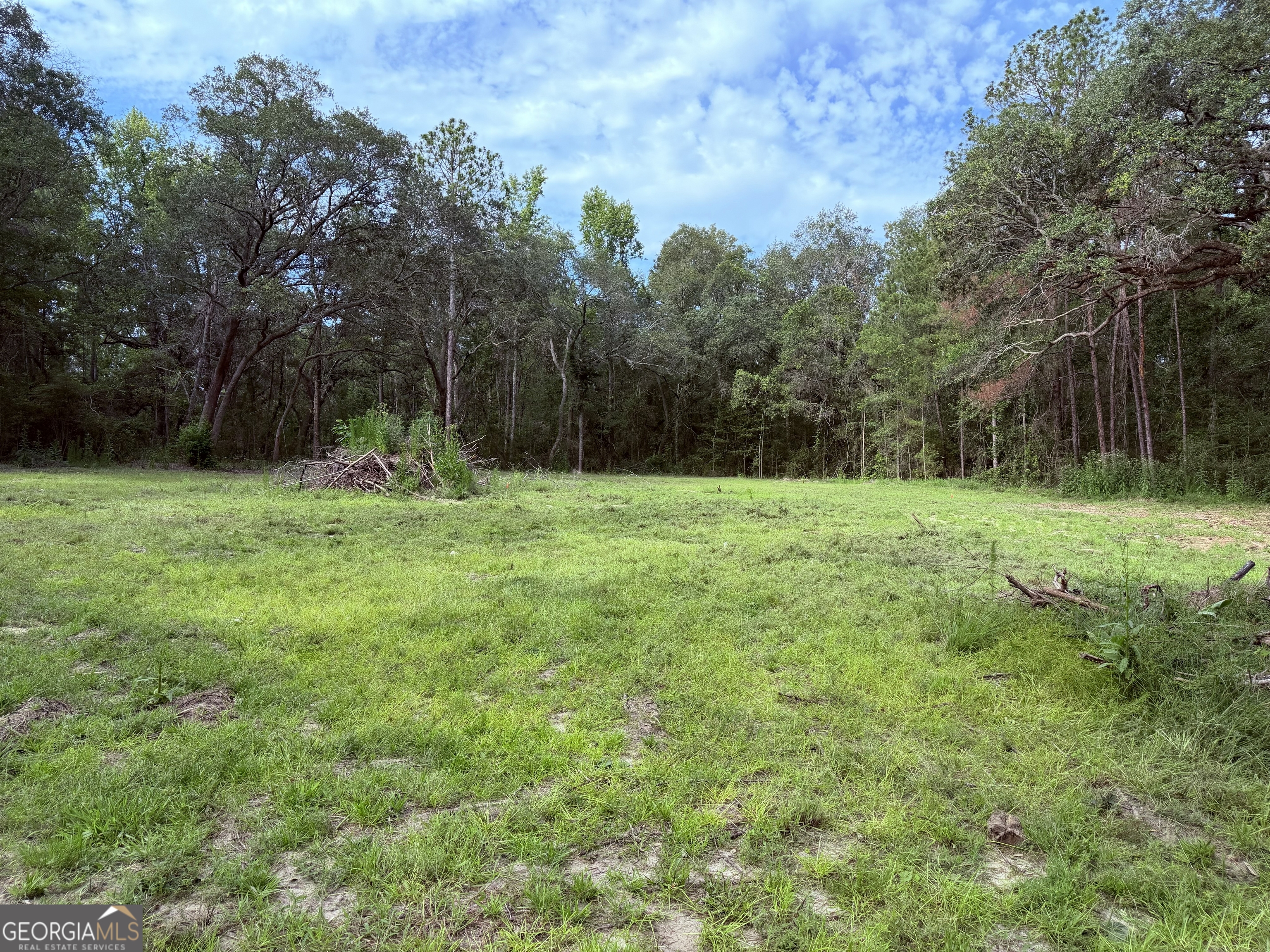 3980 Mosley Road Claxton, GA 30417 - Photo 7 of 10