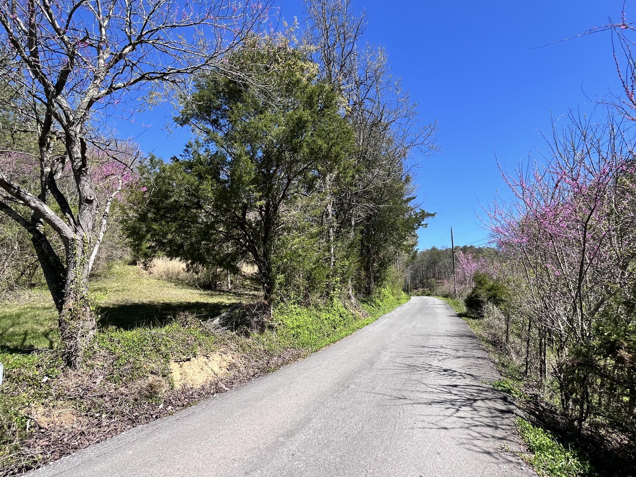 19 Caughron Mountain Road Sevierville, TN 37876 - Photo 8 of 16