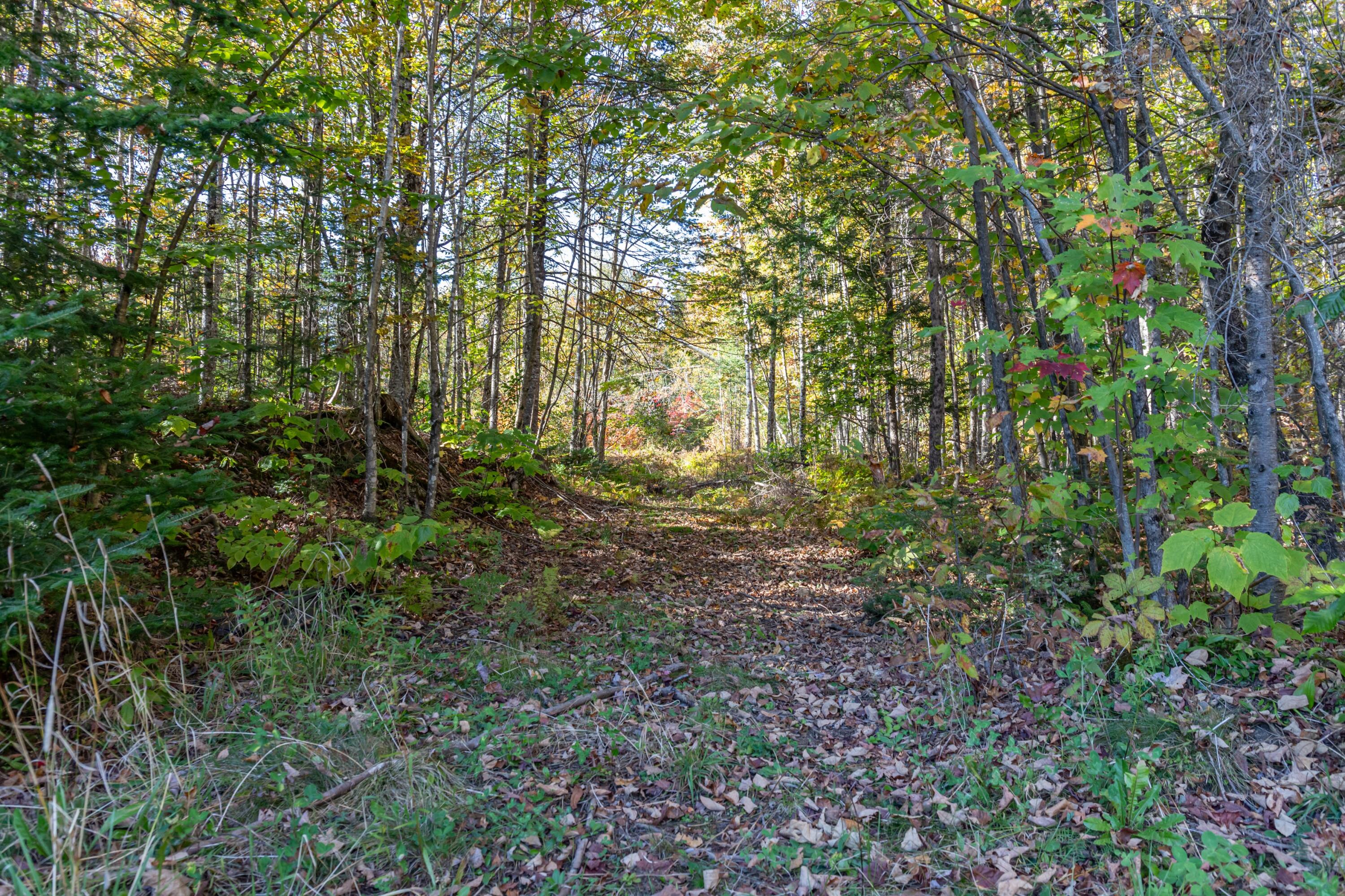 278 Athens Road Harmony, ME 04942 - Photo 59 of 65 278 Athens Road