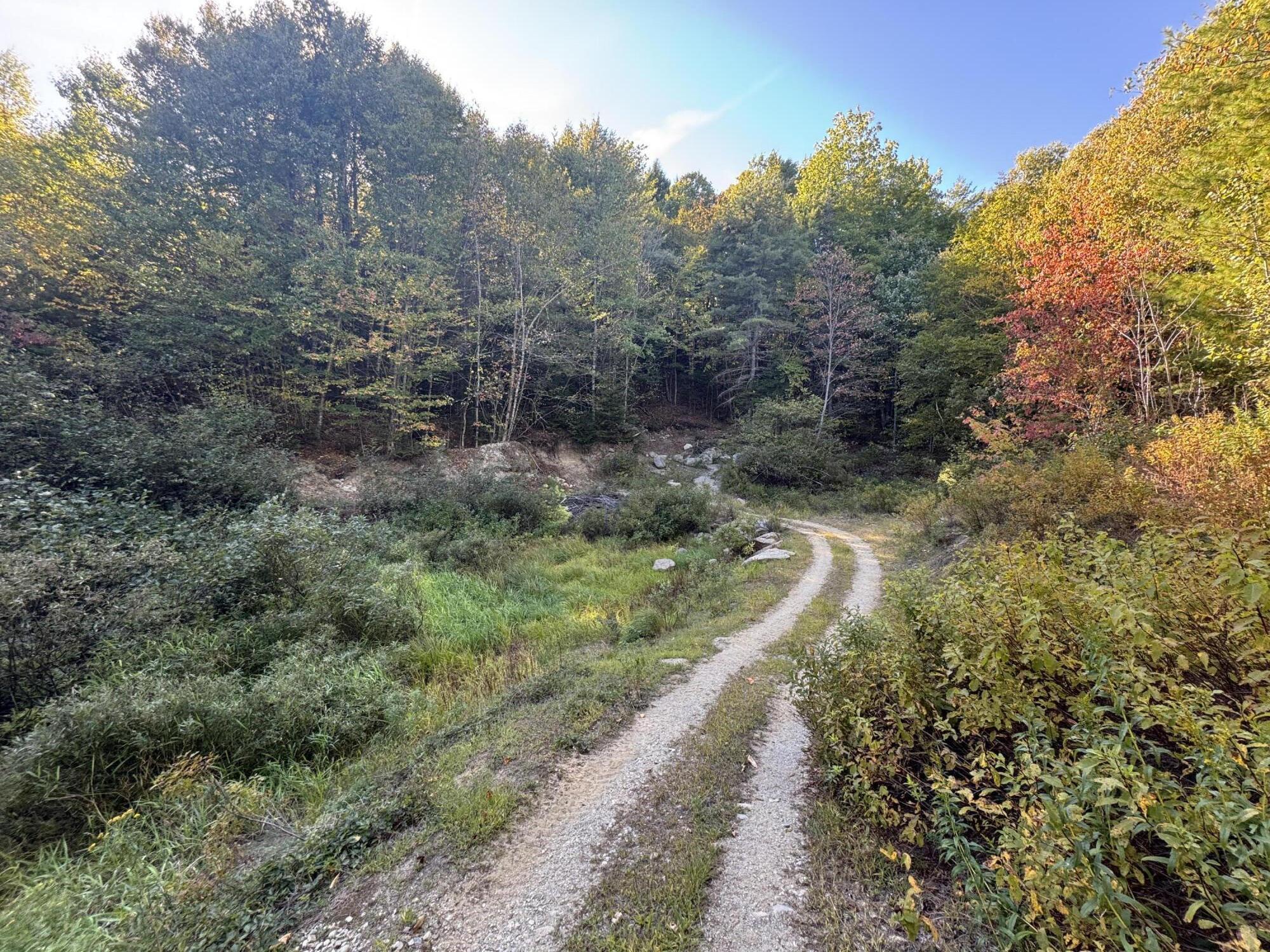 Lot 19-1 Green Valley Road Stockton Springs, ME 04981 - Photo 6 of 10 20250922_190948989_iOS