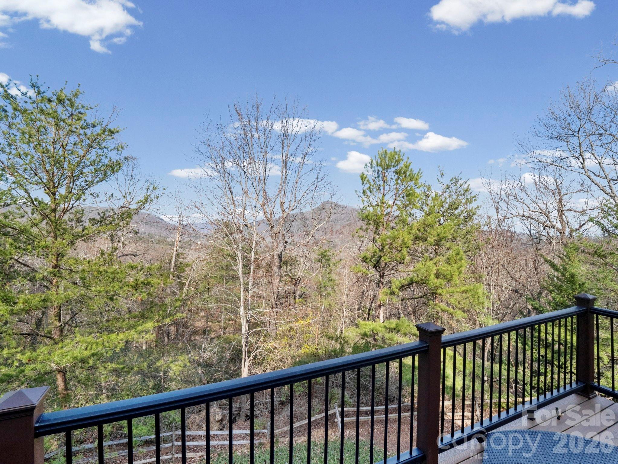 308 Blue Bird Road Lake Lure, NC 28746 - Photo 17 of 48