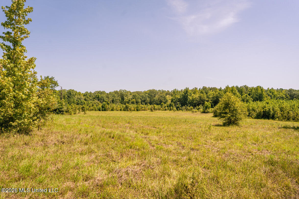 5056 Bethesda Road Crystal Springs, MS 39059 - Photo 32 of 48 DSC01808