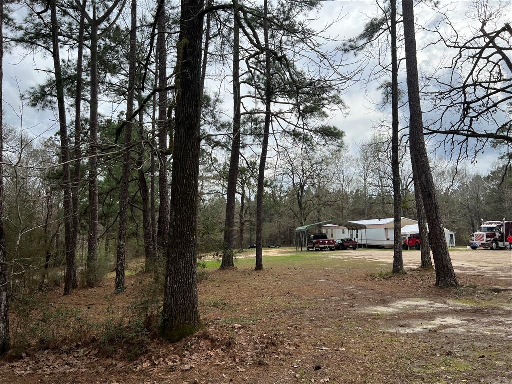 74155 Allen Road Kentwood, LA 70444 - Photo 2 of 14 Gallery Image 2