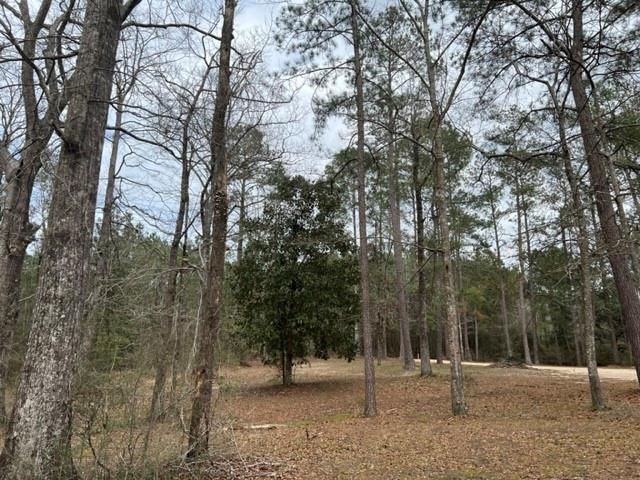74155 Allen Road Kentwood, LA 70444 - Photo 7 of 14 Gallery Image 7
