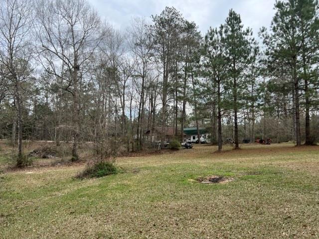 74155 Allen Road Kentwood, LA 70444 - Photo 8 of 14 Gallery Image 8