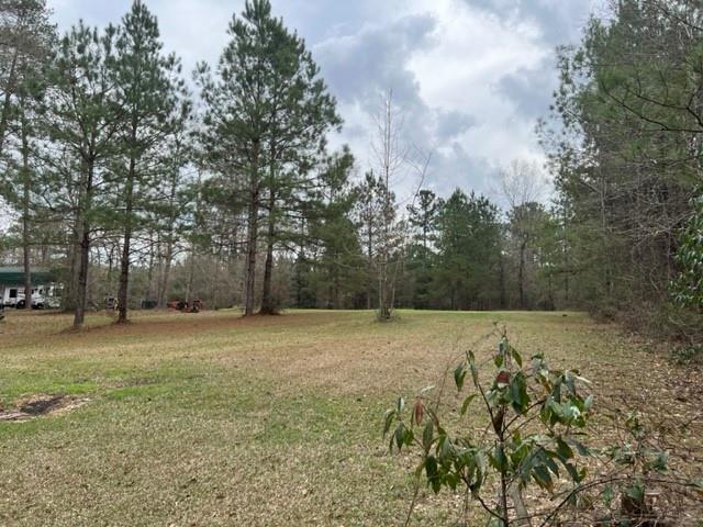 74155 Allen Road Kentwood, LA 70444 - Photo 9 of 14 Gallery Image 9