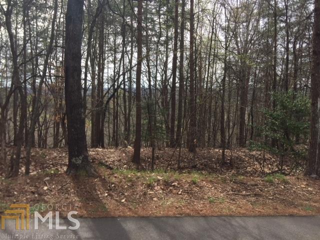 6 Calhoun Road Dahlonega, GA 30533 - Photo 1 of 1 Gallery Image 1