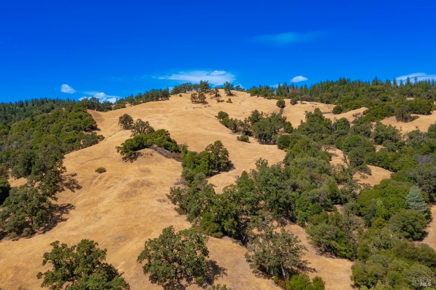58380 Highway 162 Dos Rios, CA 95429 - Photo 56 of 62