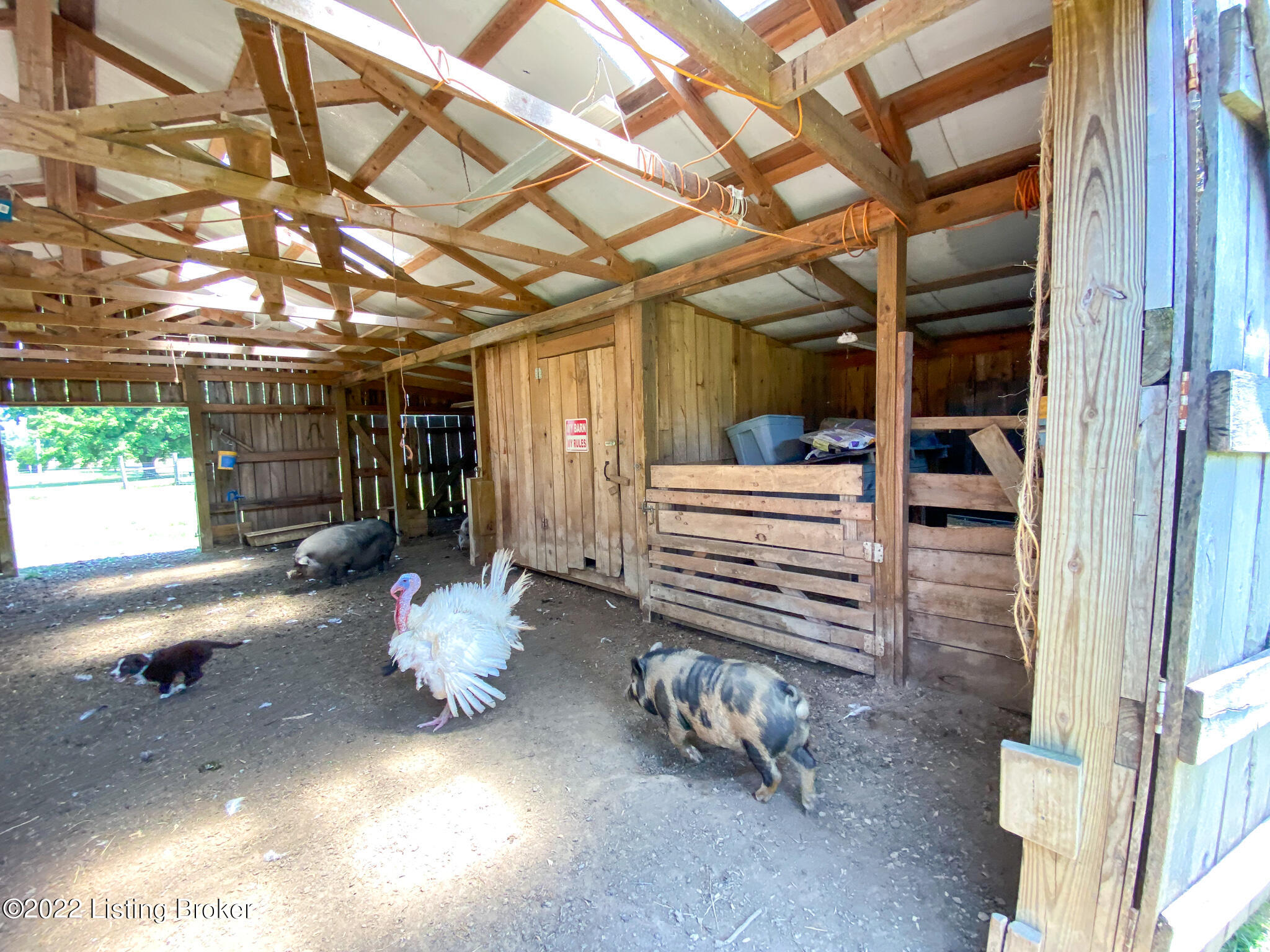 935 Frontage Road Leitchfield, KY 42754 - Photo 51 of 96 Barn view
