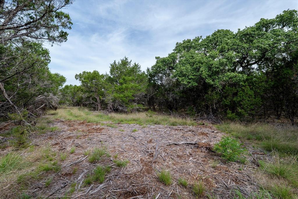 Mustang-a Mustang Road Purmela, TX 76566 - Photo 6 of 18 a view of a yard with plants and a tree