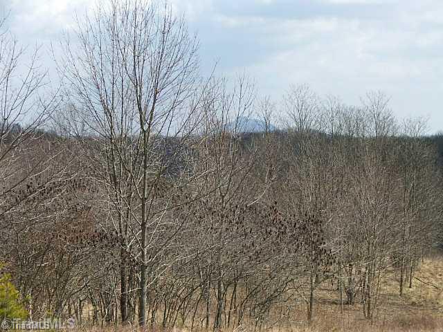 100 Simpson Mill Road, Unit 100 Dobson, NC 27017 - Photo 3 of 8 Aerial View. LEFT SIDE PILOT MOUNTAIN VIEWS