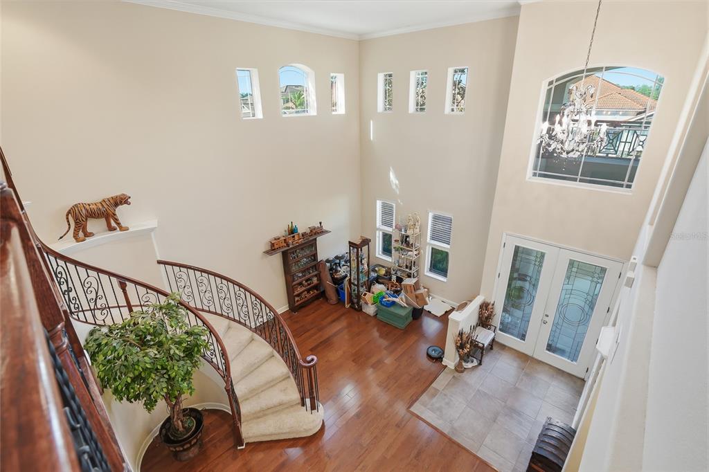 11403 Biddeford Place New Port Richey, FL 34654 - Photo 47 of 78