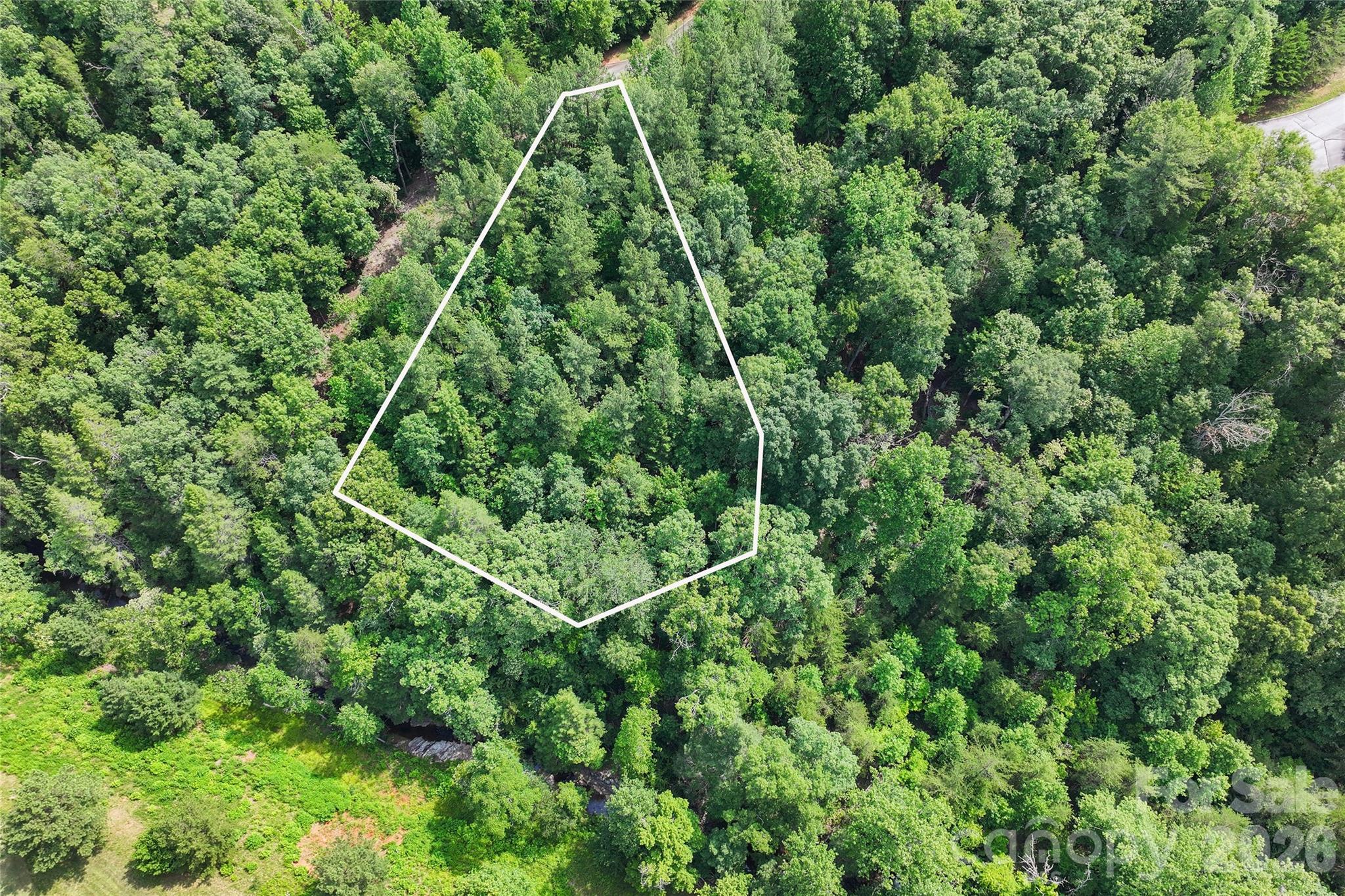 Lot 24 Monteith Pl Mill Spring Mill Spring, NC 28756 - Photo 2 of 24